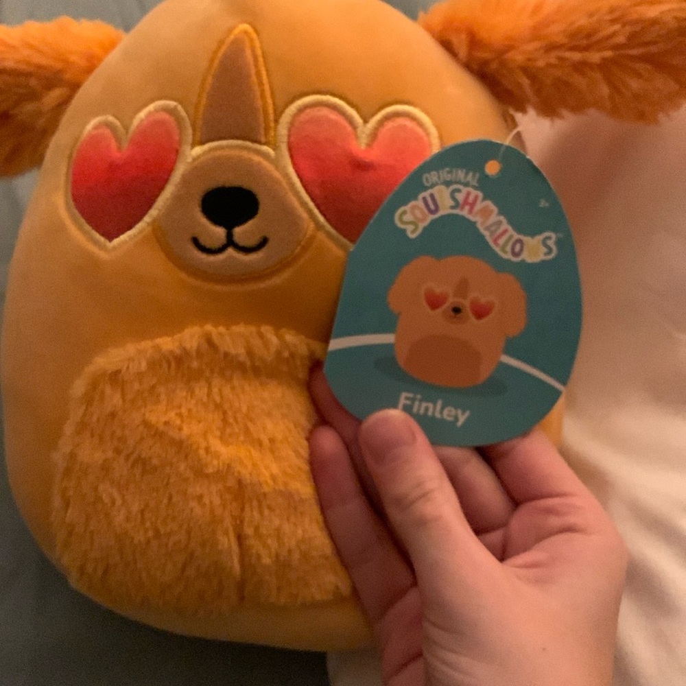 V-day dog